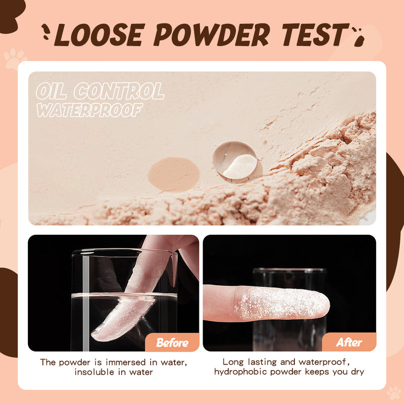 Banxeer Loos Powder 3 Color Oil Control Face Setting Powder